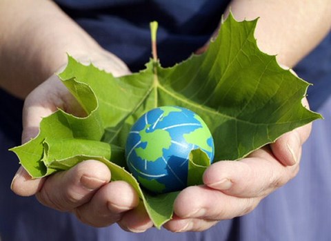 Impresoras Epson de Tinta: Innovación Ecológica y Simplicidad Eficiente en la Impresión